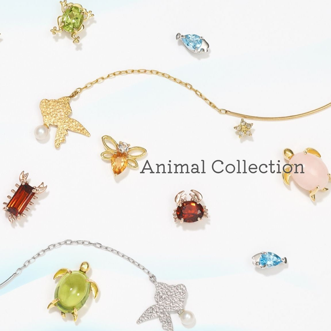 Animals