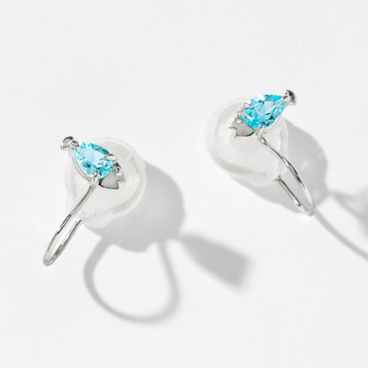 K10 サカナ イヤリング